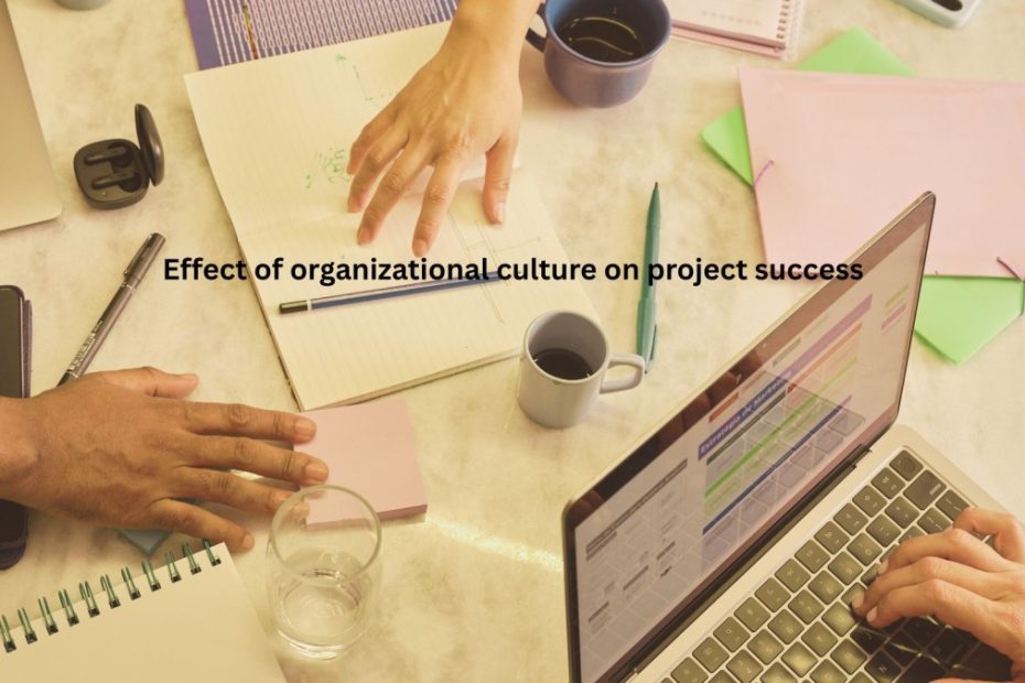 Effect of organizational culture on project success