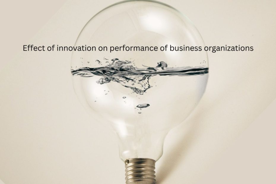 Effects of innovation on performance of business organizations