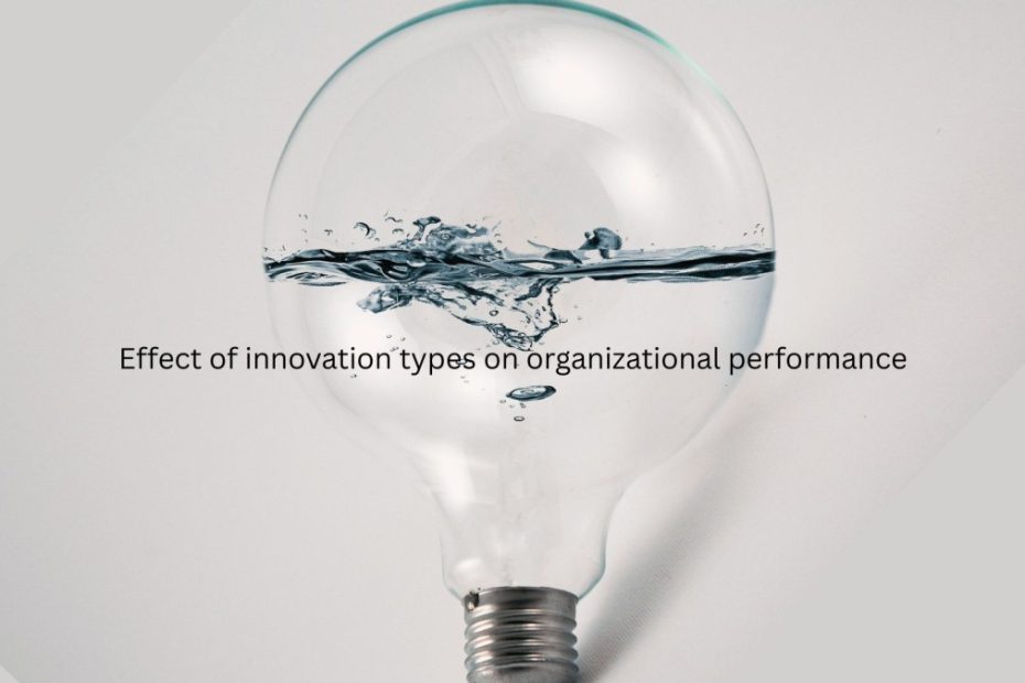 Effects of innovation types on performance of business organizations