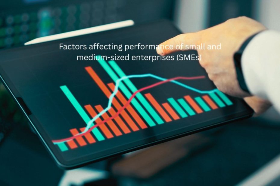 Factors Affecting Business Performance of Small and Medium-Sized Enterprises (SMEs)