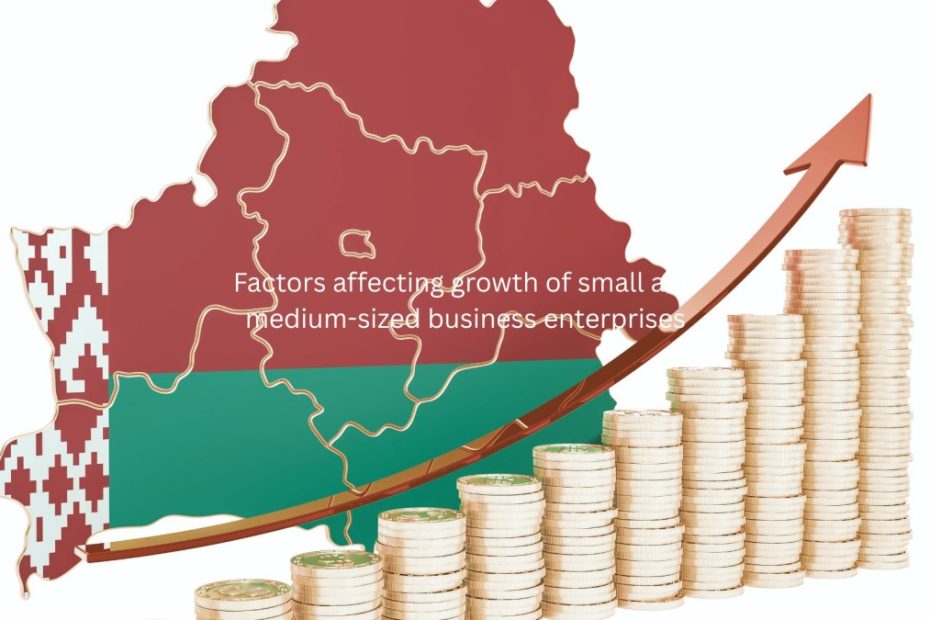 Factors affecting growth of small and medium-sized business enterprises (SMEs)