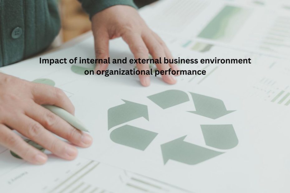 Impact of internal and external business environment on organizational performance