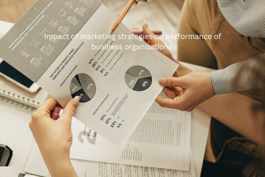 Impact of marketing strategies on performance of business organizations